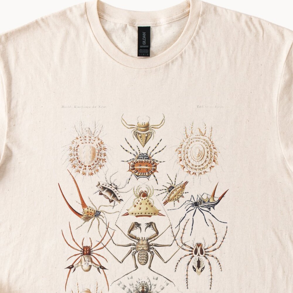 Arachnid Spider Shirt Natural Color Graphic Art Nature Bug Shirt Gift - Picture 2 of 6